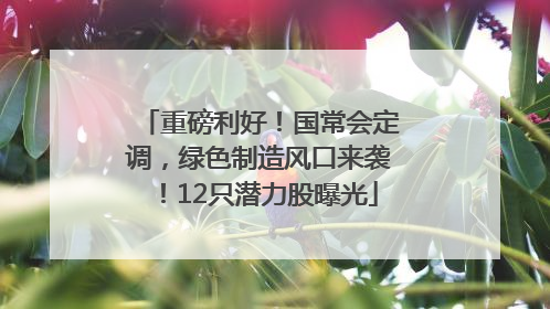 重磅利好！国常会定调，绿色制造风口来袭！12只潜力股曝光