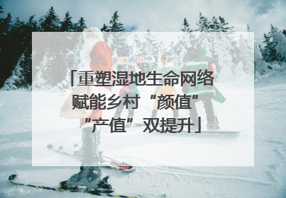 重塑湿地生命网络 赋能乡村“颜值”“产值”双提升