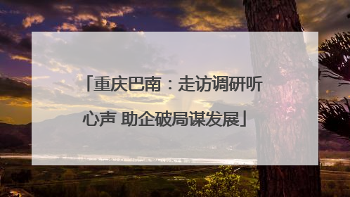 重庆巴南：走访调研听心声 助企破局谋发展