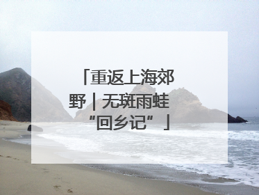 重返上海郊野｜无斑雨蛙“回乡记”