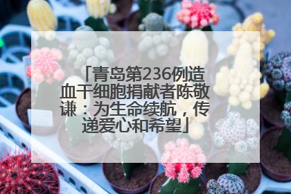 青岛第236例造血干细胞捐献者陈敬谦：为生命续航，传递爱心和希望