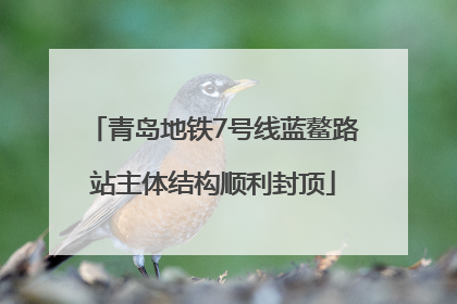 青岛地铁7号线蓝鳌路站主体结构顺利封顶