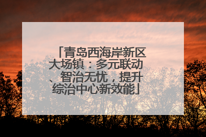 青岛西海岸新区大场镇：多元联动、智治无忧，提升综治中心新效能