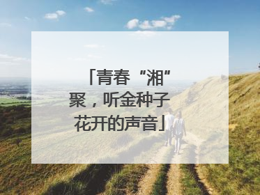 青春“湘”聚，听金种子花开的声音