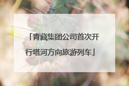 青藏集团公司首次开行塔河方向旅游列车