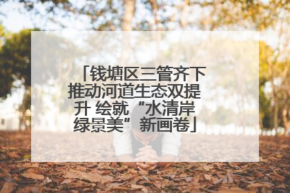 钱塘区三管齐下推动河道生态双提升 绘就“水清岸绿景美”新画卷