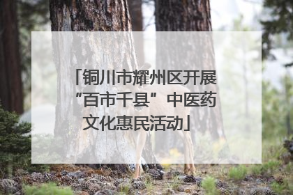 铜川市耀州区开展“百市千县”中医药文化惠民活动