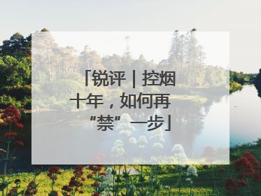 锐评｜控烟十年，如何再“禁”一步