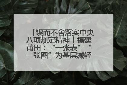 锲而不舍落实中央八项规定精神丨福建莆田：“一张表”“一张图”为基层减轻“数字负担”