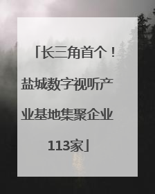 长三角首个！盐城数字视听产业基地集聚企业113家