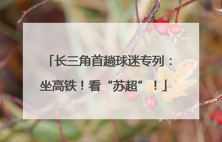 长三角首趟球迷专列：坐高铁！看“苏超”！