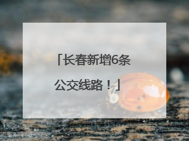 长春新增6条公交线路！