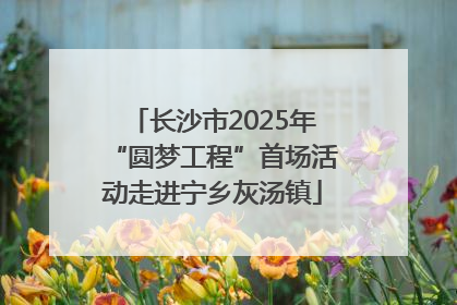 长沙市2025年“圆梦工程”首场活动走进宁乡灰汤镇
