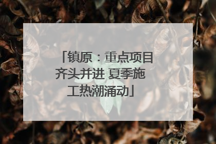 镇原：重点项目齐头并进 夏季施工热潮涌动