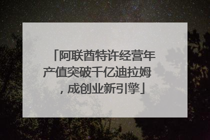 阿联酋特许经营年产值突破千亿迪拉姆，成创业新引擎