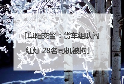 阜阳交警：货车组队闯红灯 28名司机被拘