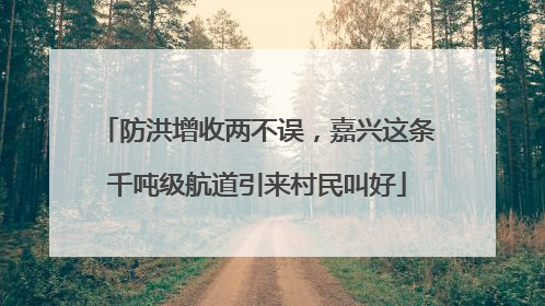 防洪增收两不误，嘉兴这条千吨级航道引来村民叫好