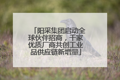 阳采集团启动全球伙伴招商，千家优质厂商共创工业品供应链新增量