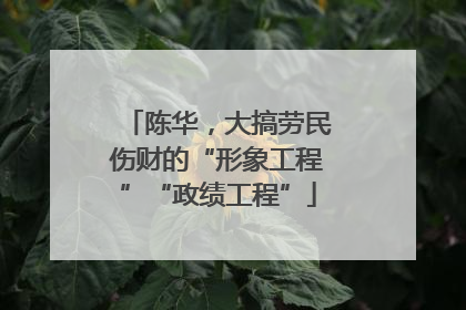 陈华，大搞劳民伤财的“形象工程”“政绩工程”