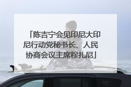 陈吉宁会见印尼大印尼行动党秘书长、人民协商会议主席穆扎尼