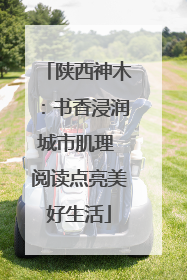 陕西神木：书香浸润城市肌理 阅读点亮美好生活