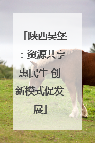 陕西吴堡：资源共享惠民生 创新模式促发展