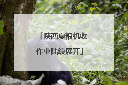 陕西夏粮机收作业陆续展开