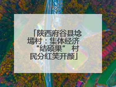 陕西府谷县埝墕村：集体经济“结硕果” 村民分红笑开颜