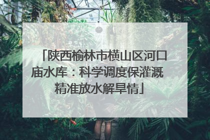 陕西榆林市横山区河口庙水库：科学调度保灌溉 精准放水解旱情