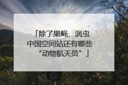 除了果蝇、涡虫 中国空间站还有哪些“动物航天员”