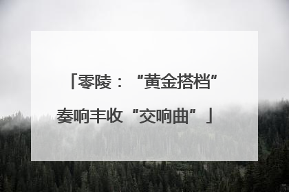 零陵：“黄金搭档”奏响丰收“交响曲”