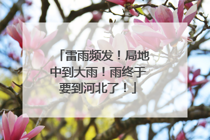 雷雨频发！局地中到大雨！雨终于要到河北了！