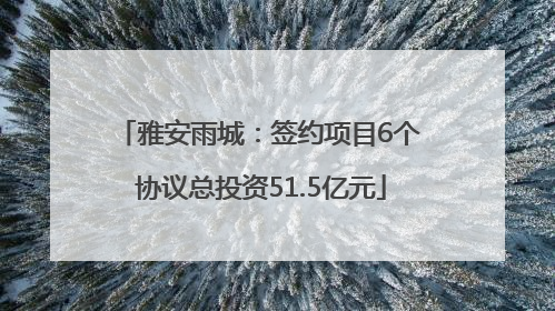 雅安雨城：签约项目6个 协议总投资51.5亿元