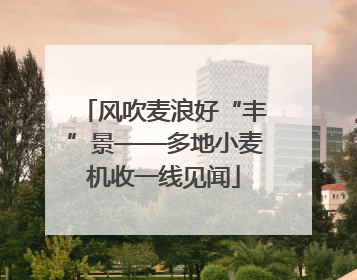 风吹麦浪好“丰”景——多地小麦机收一线见闻