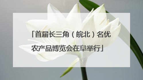 首届长三角（皖北）名优农产品博览会在阜举行