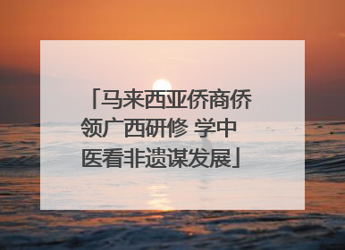 马来西亚侨商侨领广西研修 学中医看非遗谋发展