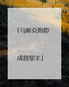 马斯克抱怨成替罪羊
