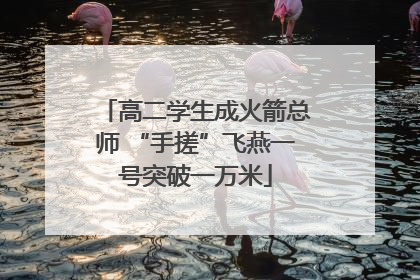 高二学生成火箭总师 “手搓”飞燕一号突破一万米