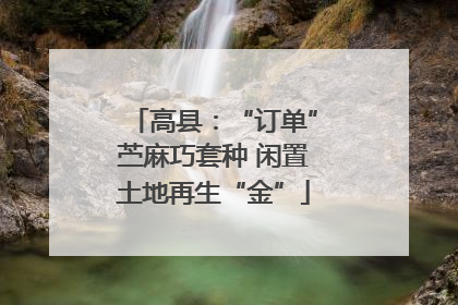高县：“订单”苎麻巧套种 闲置土地再生“金”