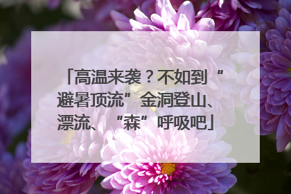 高温来袭？不如到“避暑顶流”金洞登山、漂流、“森”呼吸吧