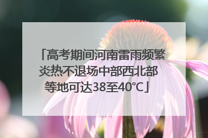 高考期间河南雷雨频繁 炎热不退场中部西北部等地可达38至40℃