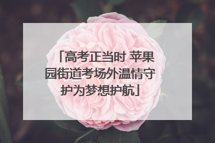 高考正当时 苹果园街道考场外温情守护为梦想护航