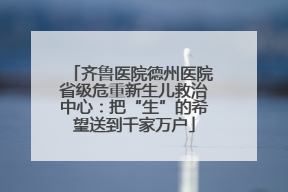 齐鲁医院德州医院省级危重新生儿救治中心：把“生”的希望送到千家万户