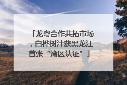 龙粤合作共拓市场，白桦树汁获黑龙江首张“湾区认证”