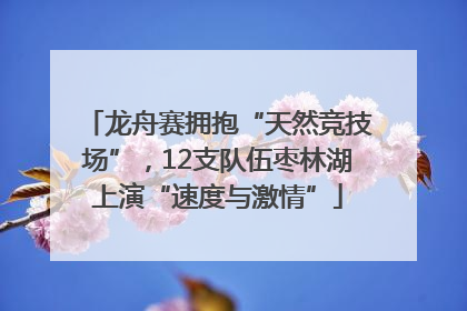 龙舟赛拥抱“天然竞技场”，12支队伍枣林湖上演“速度与激情”