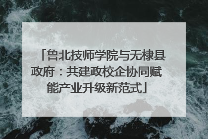 鲁北技师学院与无棣县政府：共建政校企协同赋能产业升级新范式