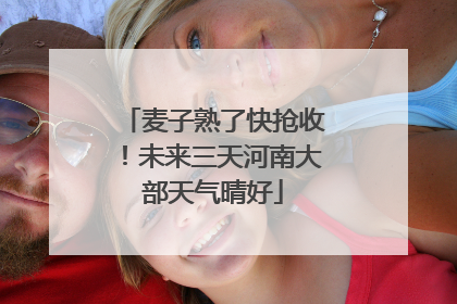 麦子熟了快抢收！未来三天河南大部天气晴好