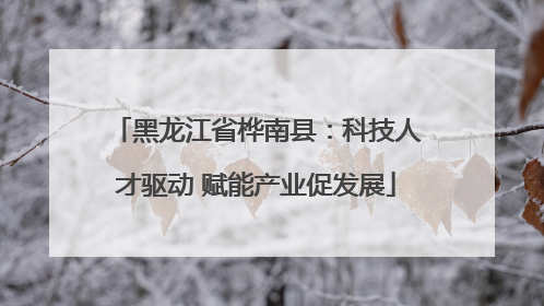 黑龙江省桦南县：科技人才驱动 赋能产业促发展