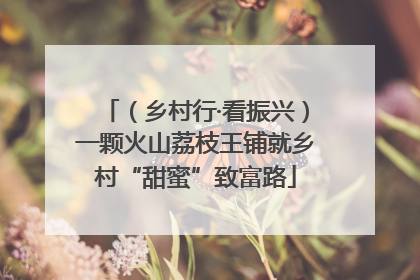 （乡村行·看振兴）一颗火山荔枝王铺就乡村“甜蜜”致富路