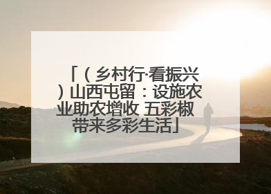 （乡村行·看振兴）山西屯留：设施农业助农增收 五彩椒带来多彩生活